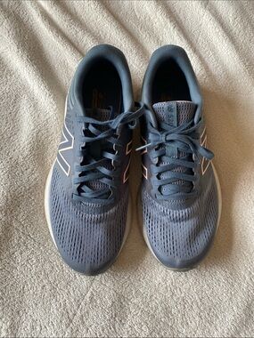 New Balance Navy and Pink Women's NB520 Shoes